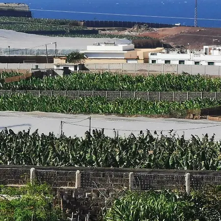 Teresa Gran Canaria
