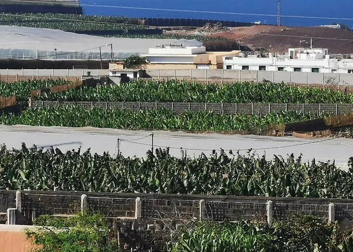 Teresa Gran Canaria